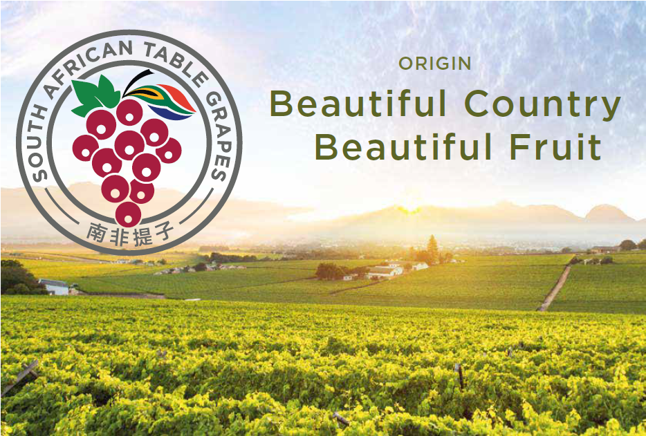 South Africa’s Table Grape Industry Produce Report